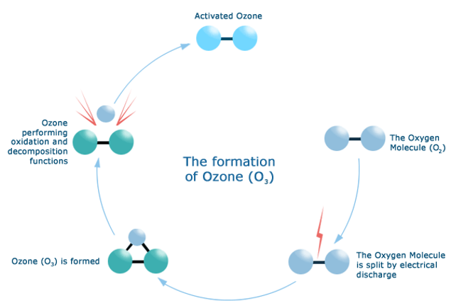 ozone molecule