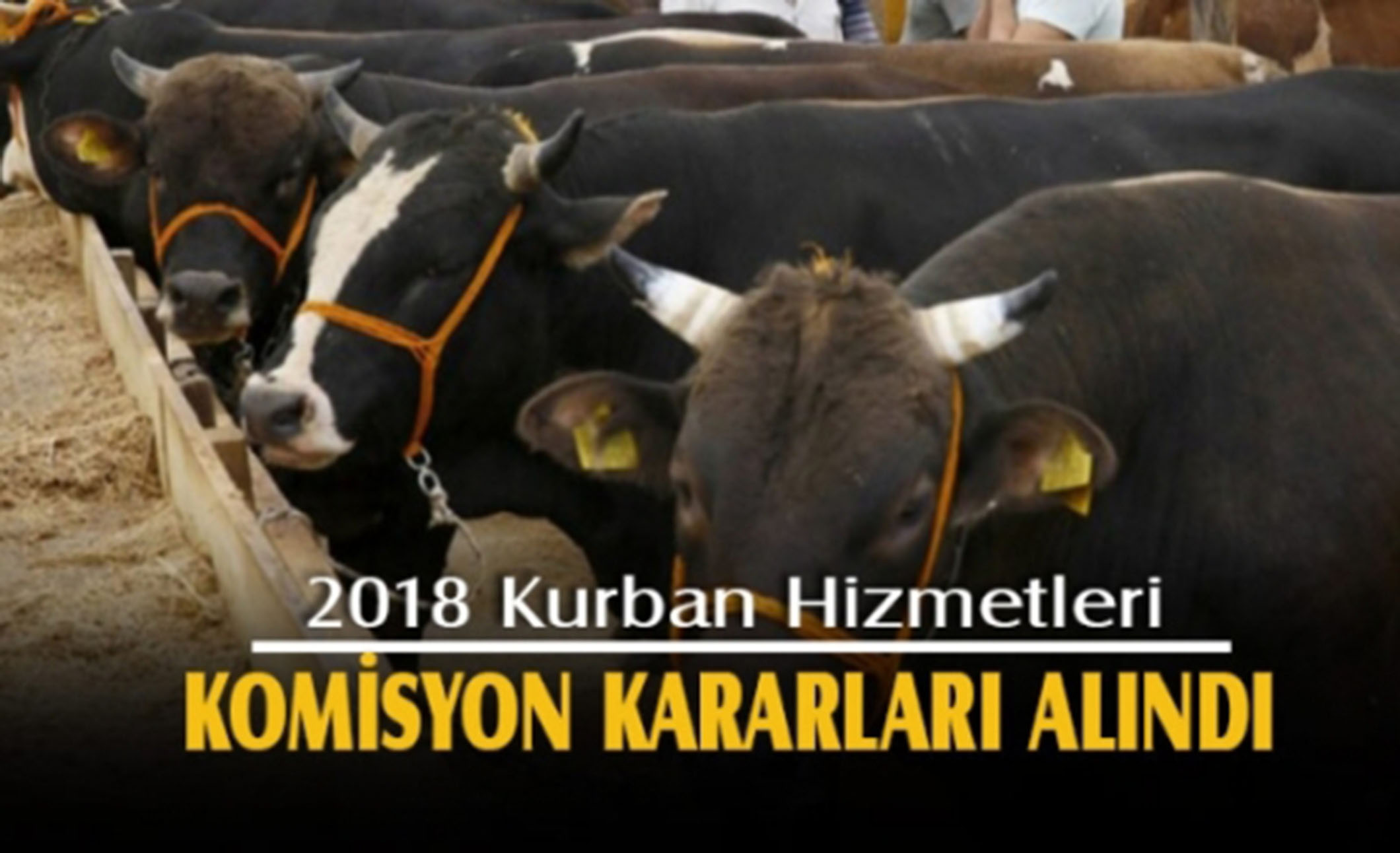 2018 Kurban Hizmetleri Komisyon Kararı