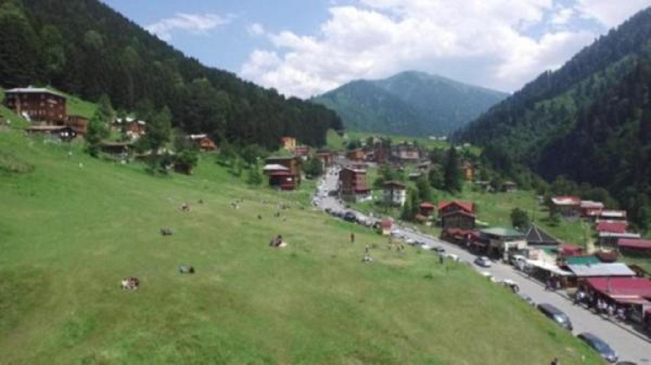 Rize İli, Çamlıhemşin İlçesi Sınırları İçerisinde Bulunan Ayder Kültür ve Turizm Koruma ve Gelişim Bölgesi Doğal Sit Alanının Koruma Statüsünün Yeniden Değerlendirilmesi