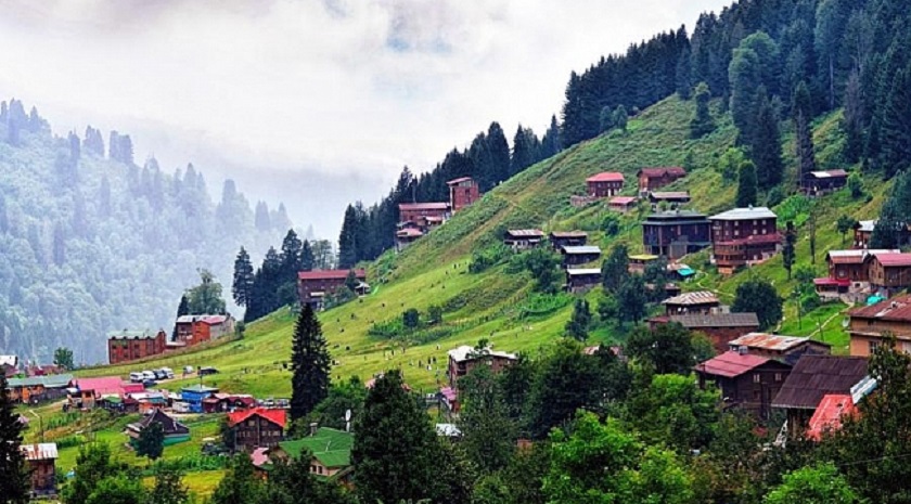 Rize İli, Çamlıhemşin İlçesi, Yolkıyı Köyü, 1. Derece Doğal Sit Alanı, 176 ada, 1 nolu parselde 