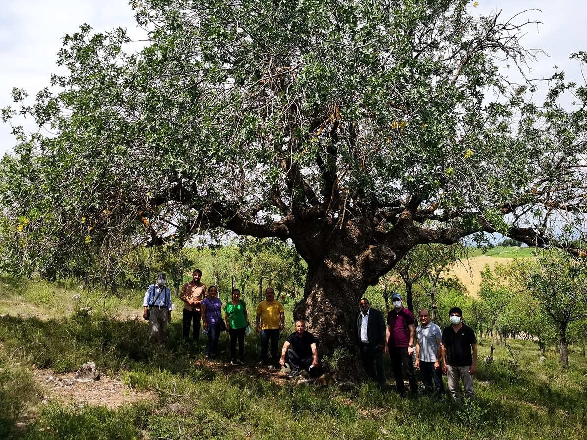 SAMSUN TABİAT VARLIKLARINI KORUMA KOMİSYONUN HAZİRAN AYI TOPLANTISI 22-24/06/2021 TARİHLERİ ARASINDA TOKAT’TA GERÇEKLEŞTİ