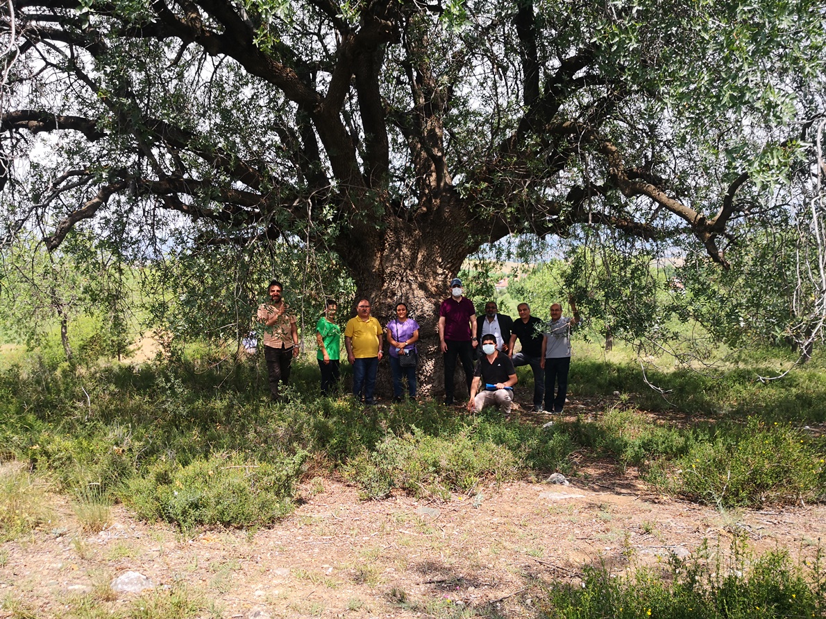 SAMSUN TABİAT VARLIKLARINI KORUMA KOMİSYONUN HAZİRAN AYI TOPLANTISI 22-24/06/2021 TARİHLERİ ARASINDA TOKAT’TA GERÇEKLEŞTİ