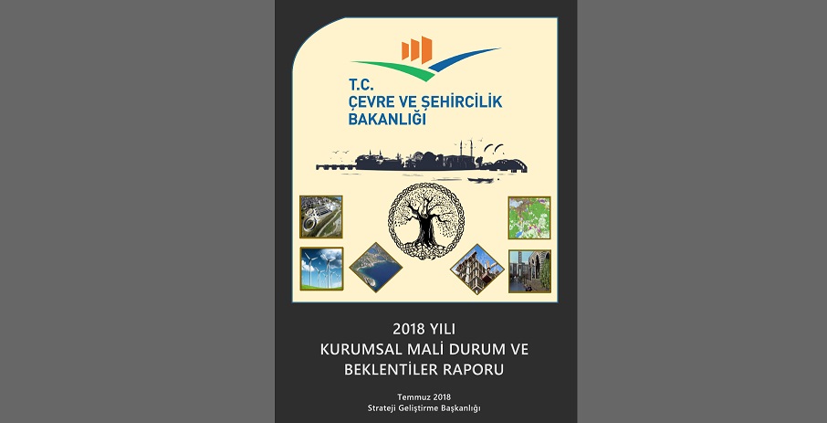 2018 Yılı Kurumsal Mali Durum ve Beklentiler Raporu