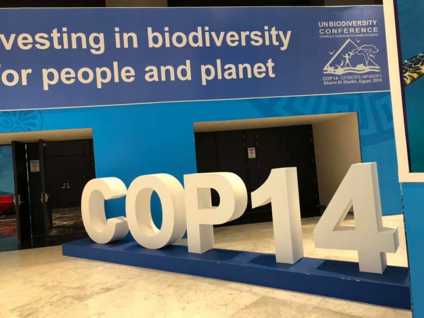 “BİRLEŞMİŞ MİLLETLER BİYOLOJİK ÇEŞİTLİLİK SÖZLEŞMESİ TARAFLAR KONFERANSI”NIN 14.SÜ (COP-14) MISIR'IN ŞARM EL ŞEYH KENTİNDE GERÇEKLEŞTİ