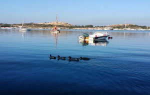 Foça ÖÇKB Yönetim Planı Hazırlama ve Uygulama Projesi