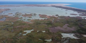 Göksu Deltası Özel Çevre Koruma Bölgesi Sulak Alan ve Karasal Alan Ekosistem Rehabilitasyon/Restorasyon Uygulama Projesi- 2022