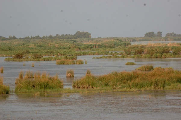 Göksu Deltası Özel Çevre Koruma Bölgesi Tür ile Habitat Koruma ve İzleme Projesi 