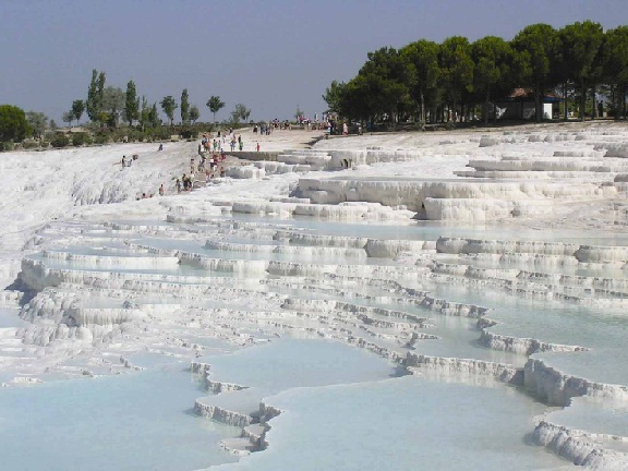 Pamukkale Özel Çevre Koruma Bölgesi Karasal Biyolojik Çeşitliliğin Tespiti Projesi 