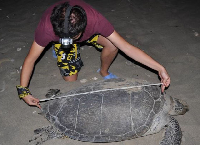 Patara Kaplumbağa Korunması ve İzlenmesi Projesi