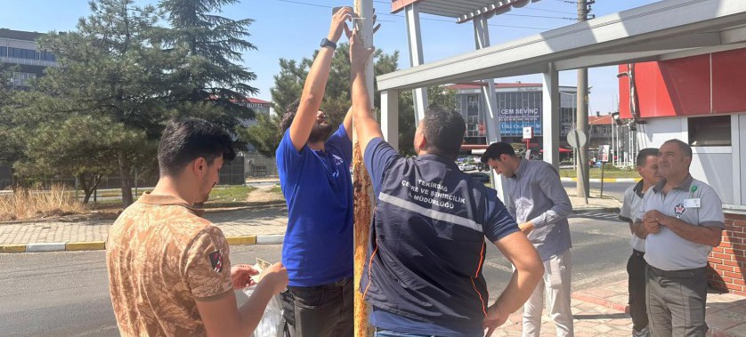 ERGENE İLÇESİ SAĞLIK VE YEŞİLTEPE MAHALLELERİNDE ÇEVRE DENETİMLERİ GERÇEKLEŞTİRİLDİ