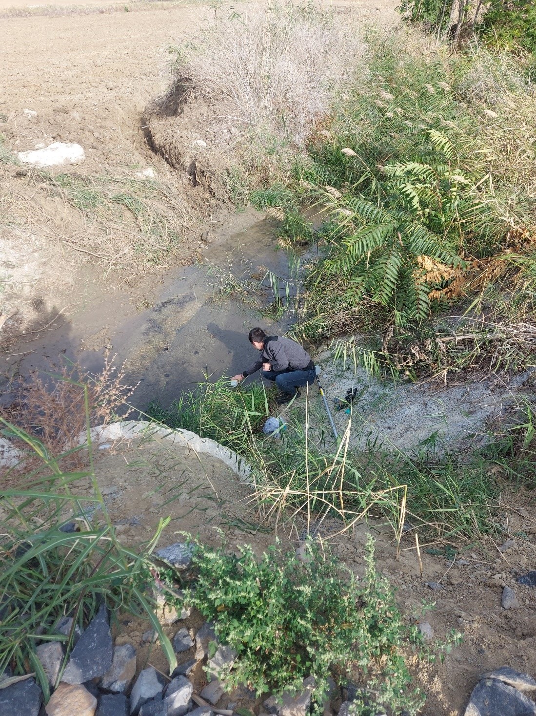 İLİMİZ SINIRLARI İÇERİSİNDE MARMARA DENİZİ  ÖZEL ÇEVRE KORUMA BÖLGESİNDE SU KALİTESİ İZLENİYOR.