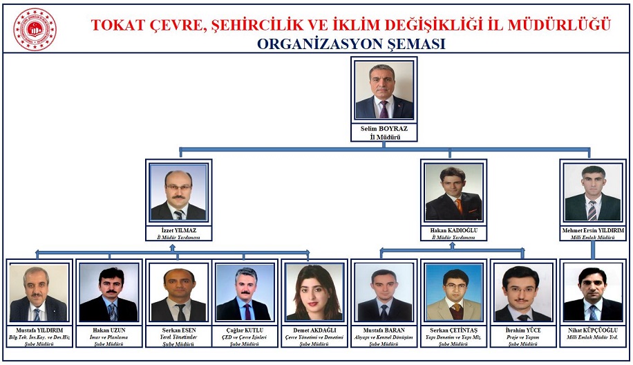 Organizasyon Şeması