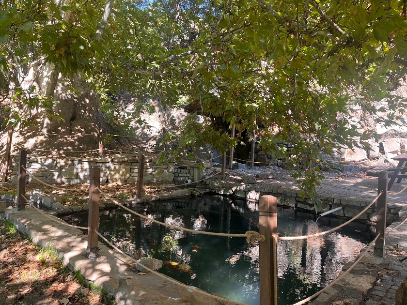 Pertek Sağman Köyü Anıt Ağacı Çevre Düzenlemesi