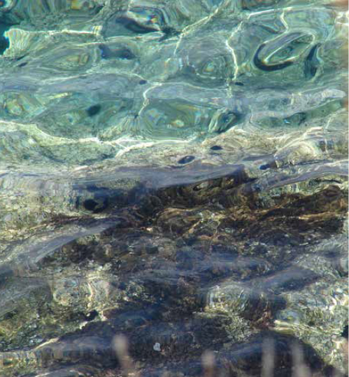 Saros Körfezi Özel Çevre Koruma Bölgesi Karasal ve Denizel Biyolojik Çeşitliliğin Tespiti Projesi Tamamlandı