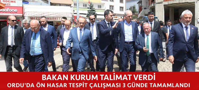 BAKAN KURUM TALİMAT VERDİ, ORDU'DAKİ TESPİT ÇALIŞMASI 3 GÜNDE TAMAMLANDI