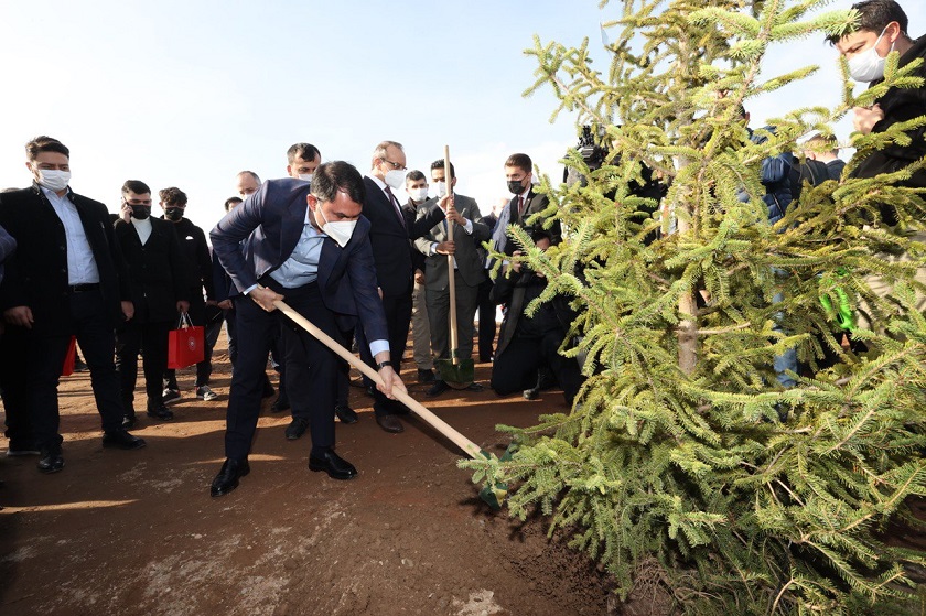 BAKAN KURUM DERİNCE’DE İLK FİDANLARI DİKTİ