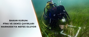 BAKAN KURUM: PİNA VE DENİZ ÇAYIRLARI MARMARA'YA NEFES OLUYOR