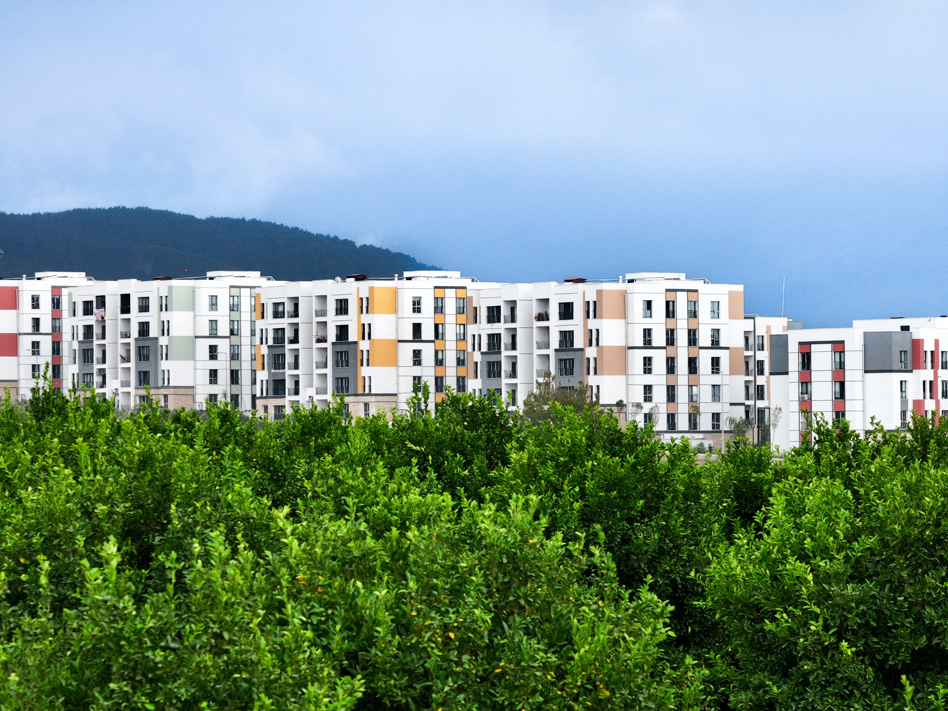 BAKAN KURUM, İL İL SON DURUMU PAYLAŞTI