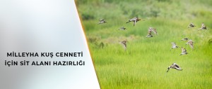 BAKAN KURUM’DAN MİLLEYHA KUŞ CENNETİ İÇİN KORUMA PROJESİ TALİMATI