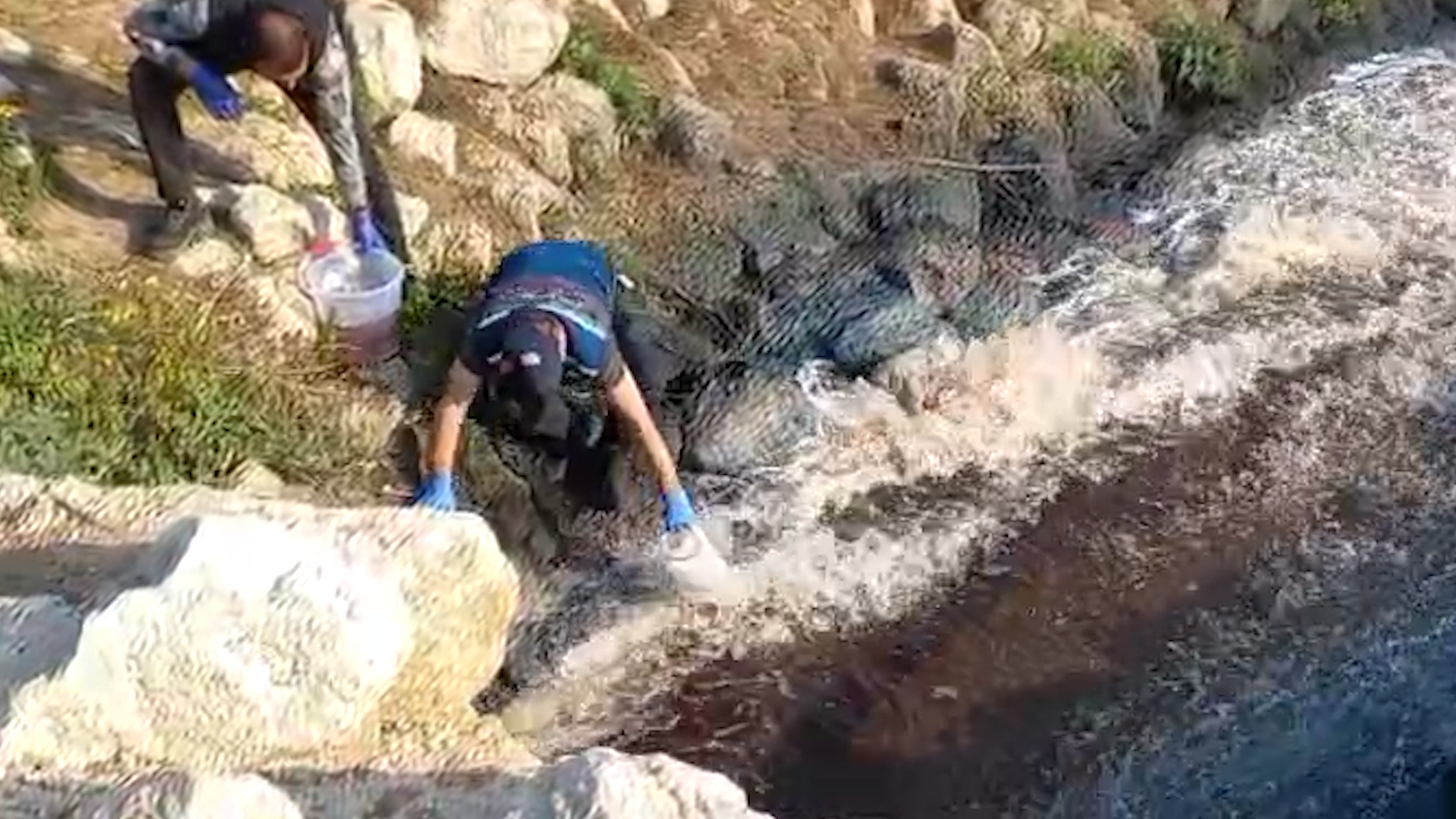BAKANLIK, CEYHAN NEHRİ’Nİ KİRLETEN 5’İ BÜYÜKŞEHİR BELEDİYESİ’NE AİT 11 TESİSE CEZA UYGULADI