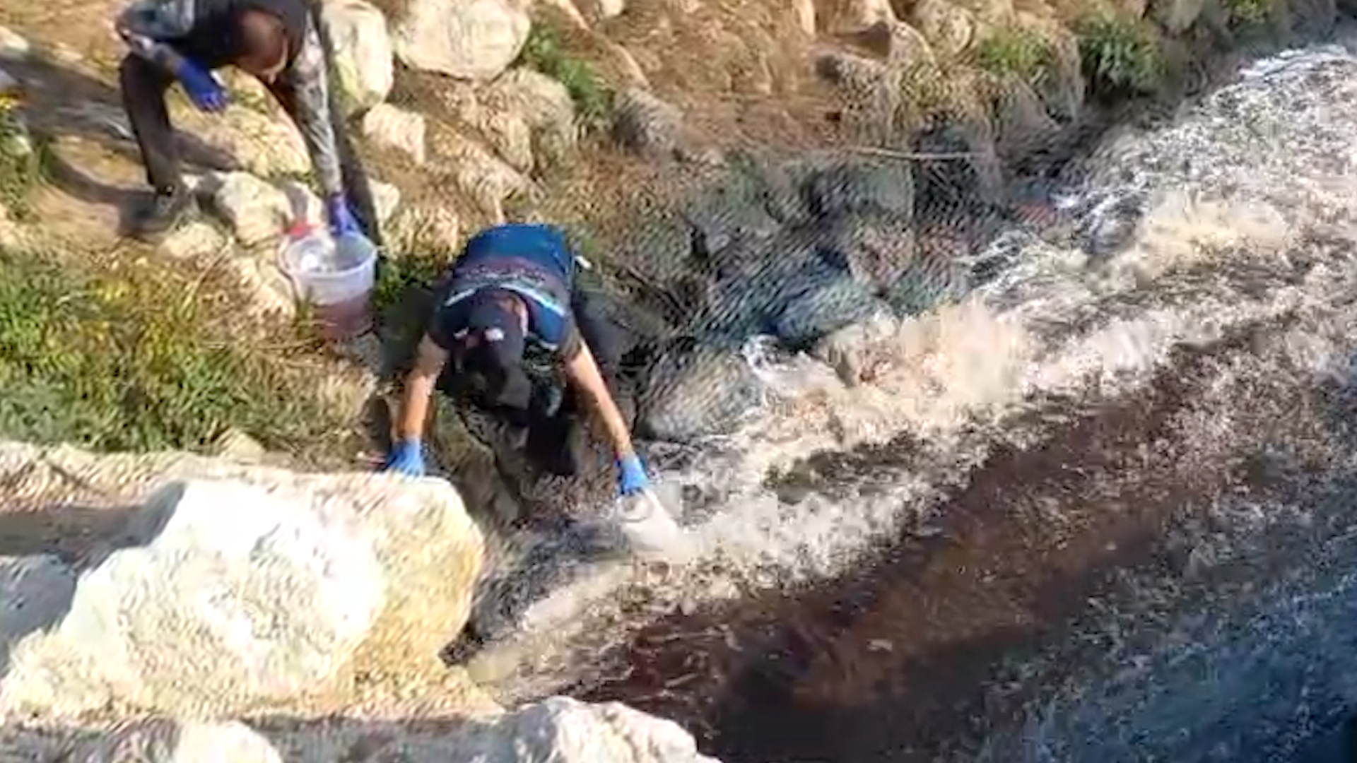 BAKANLIKTAN BALIK ÖLÜMLERİ GÖRÜLEN CEYHAN NEHRİ’NDE İNCELEME