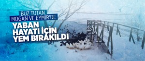 BUZ TUTAN MOGAN VE EYMİR'DE YABAN HAYATI İÇİN YEM BIRAKILDI