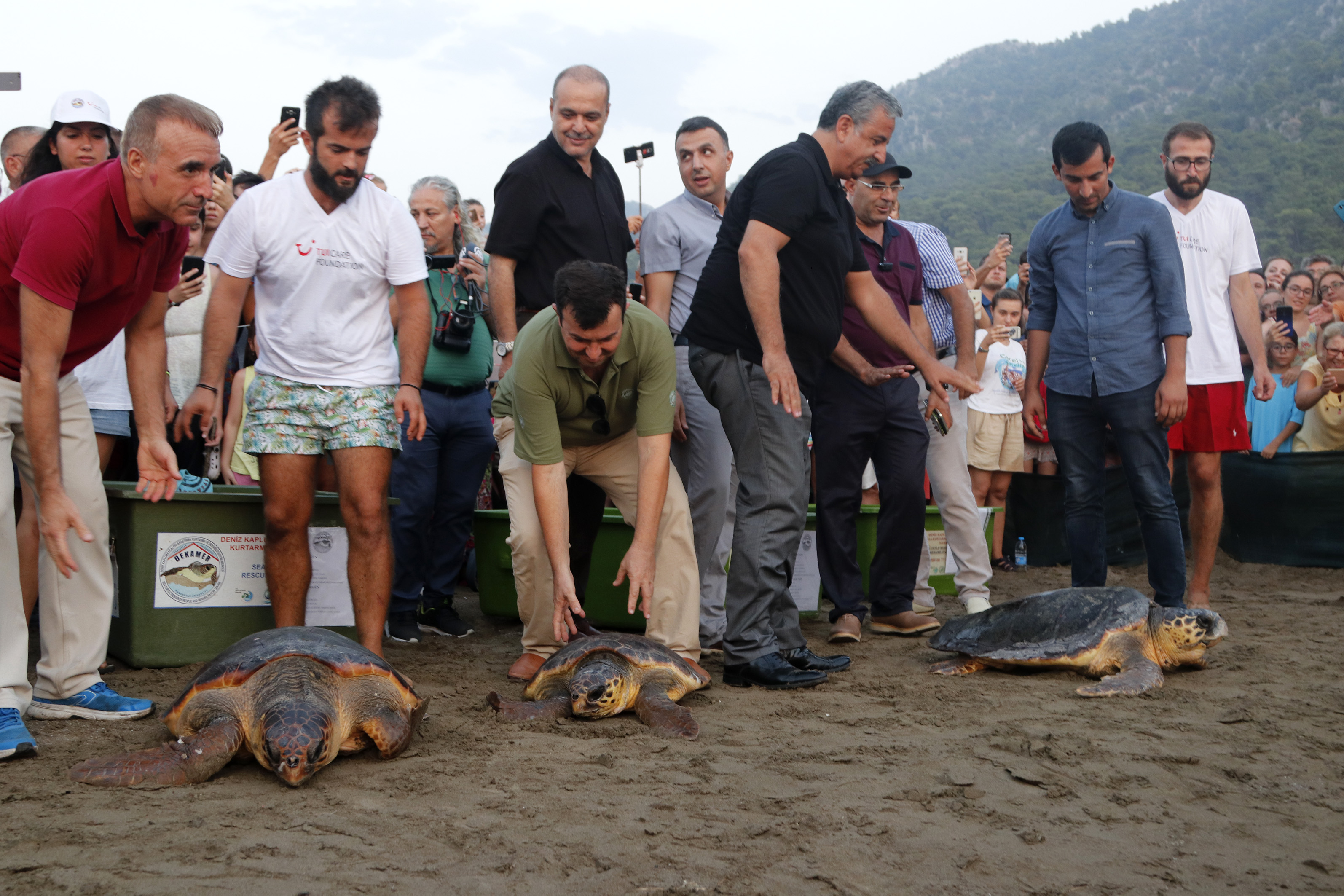 CARETTA CARETTALAR İZTUZU’NDA DENİZLE BULUŞTU…