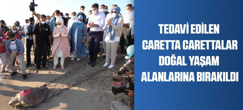 TEDAVİ EDİLEN CARETTA CARETTALAR DOĞAL YAŞAM ALANLARINA BIRAKILDI