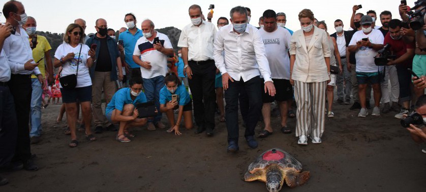 TEDAVİ EDİLEN 4 CARETTA CARETTA İLE 25 YAVRU DENİZLE BULUŞTU