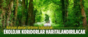 EKOLOJİK KORİDORLAR HARİTALANDIRILACAK