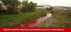 ERGENE NEHRİ'Nİ KİRLETEN İŞLETMENİN FAALİYETİ DURDURULDU