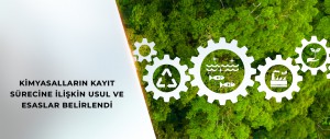 KİMYASALLARIN YÖNETİM SÜRECİNDE TÜRKİYE’YE ÖZGÜ MODEL