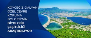KÖYCEĞİZ-DALYAN ÖZEL ÇEVRE KORUMA BÖLGESİ'NİN BİYOLOJİK ÇEŞİTLİLİĞİ ARAŞTIRILIYOR