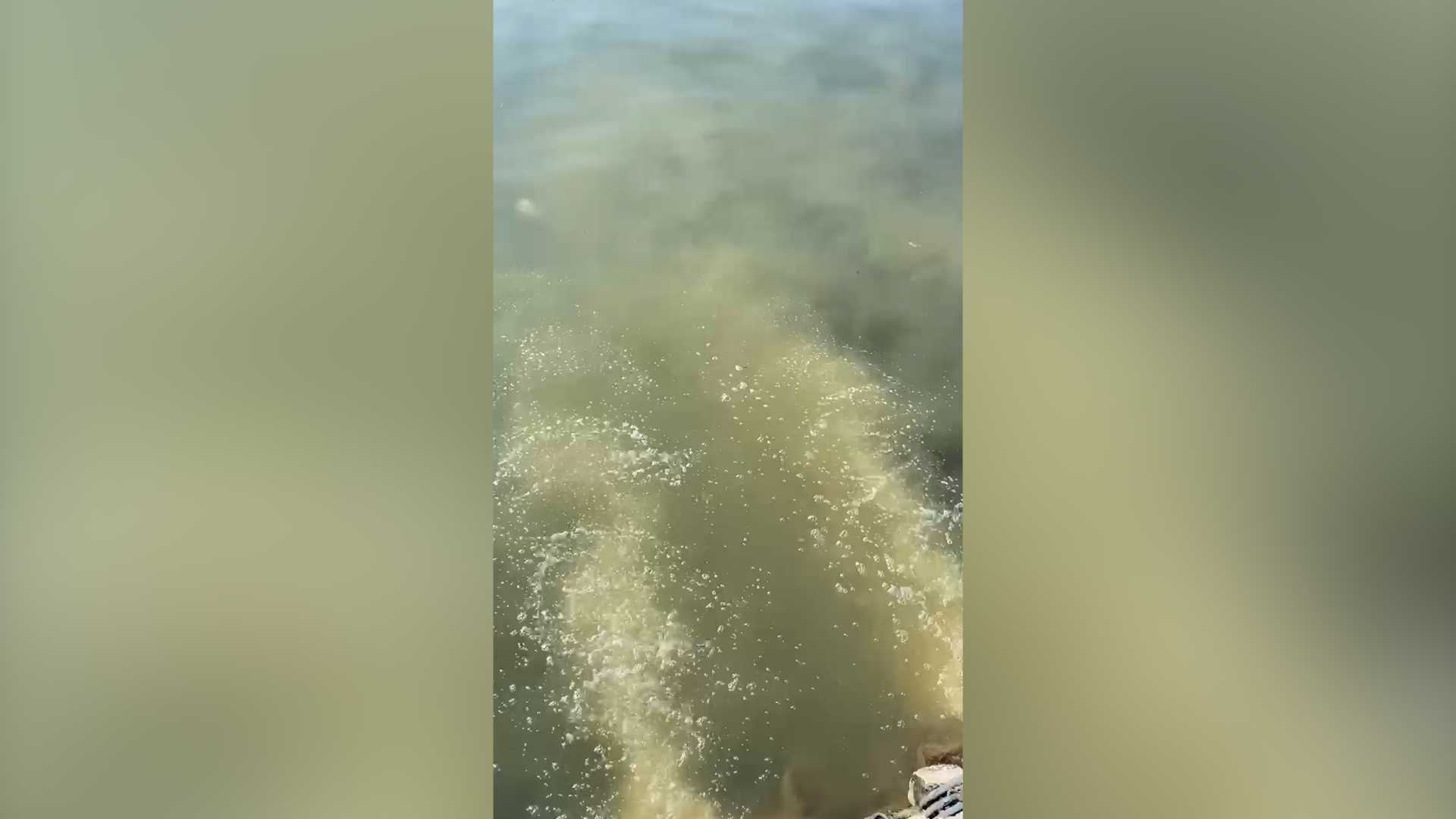 MARMARA’DA MÜSİLAJ DENETİMLERİ SÜRÜYOR