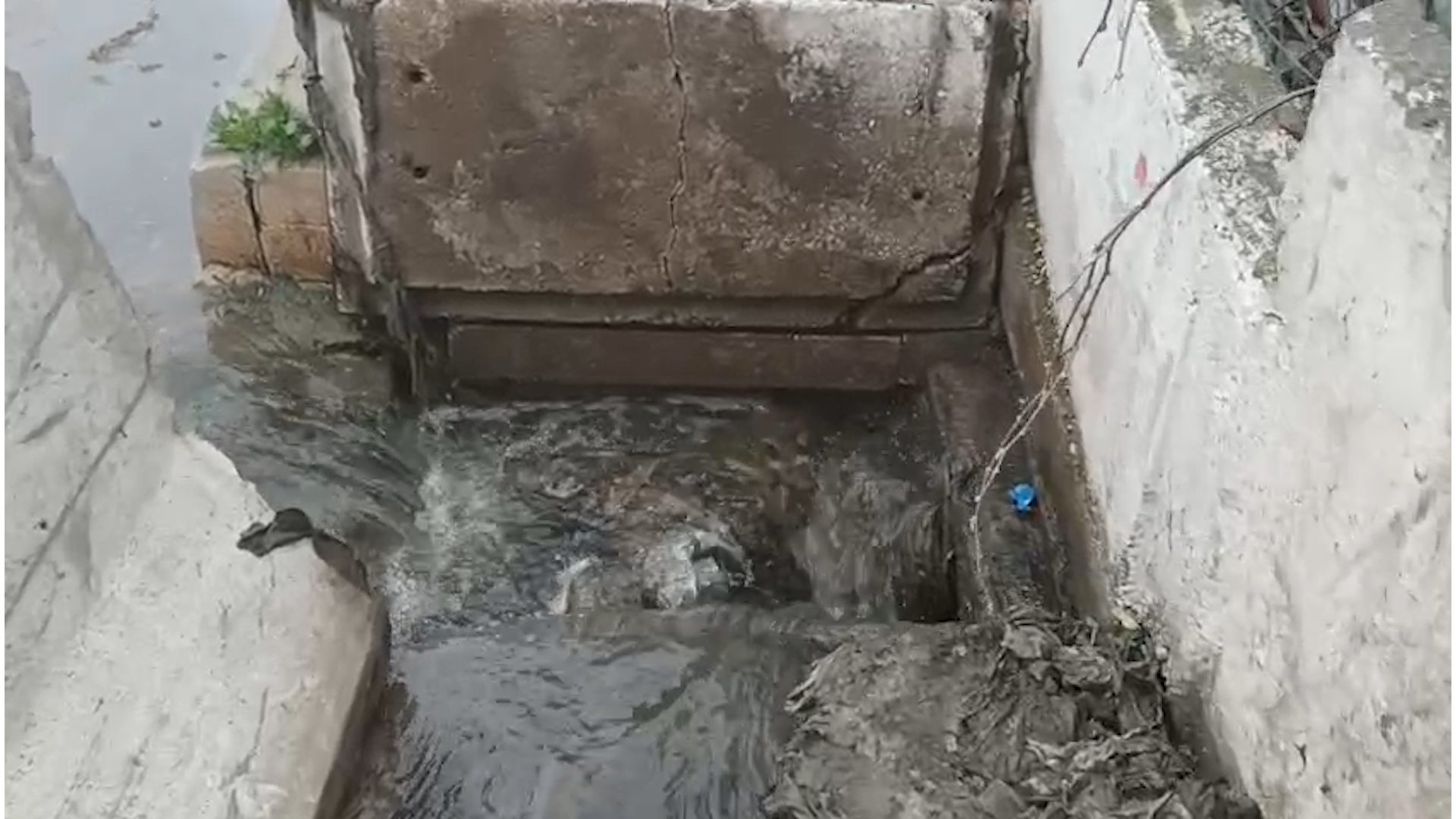 MARMARA DENİZİ’NDE KİRLİLİĞİ NEDEN OLAN ÇINARCIK BELEDİYESİ’NE 1.3 MİLYON TL CEZA
