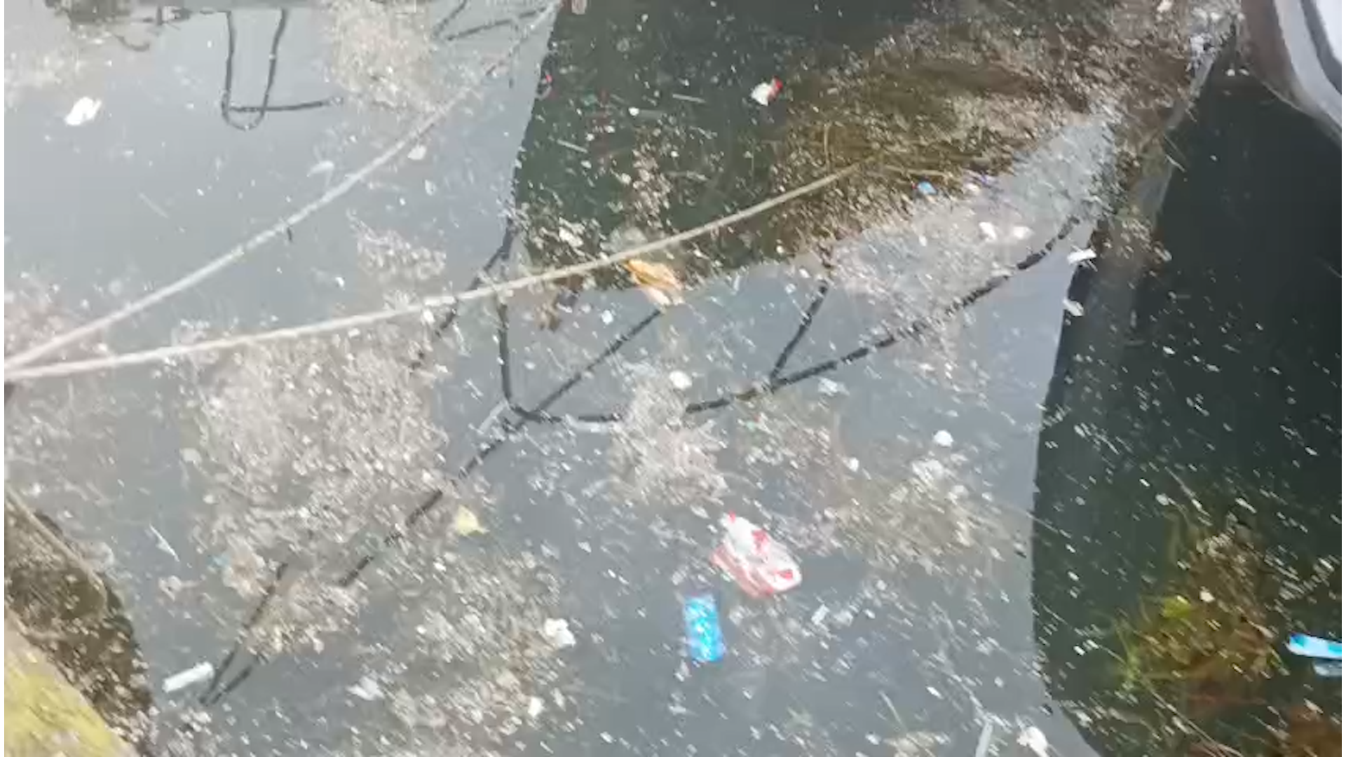 MARMARA DENİZİ’NDE KİRLİLİĞİ NEDEN OLAN ÇINARCIK BELEDİYESİ’NE 1.3 MİLYON TL CEZA