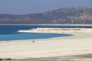 SALDA 