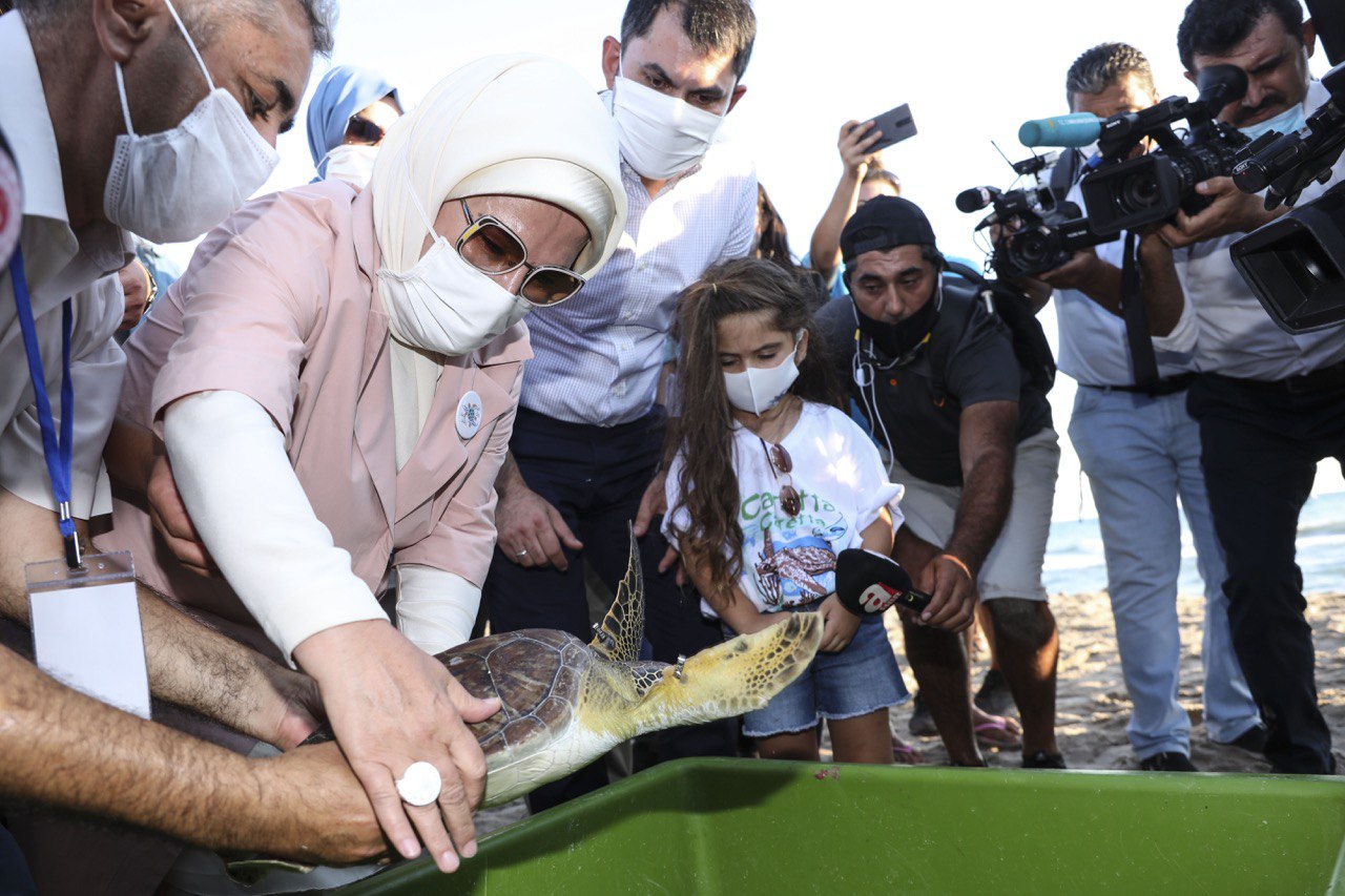 TEDAVİ EDİLEN CARETTA CARETTALAR DOĞAL YAŞAM ALANLARINA BIRAKILDI