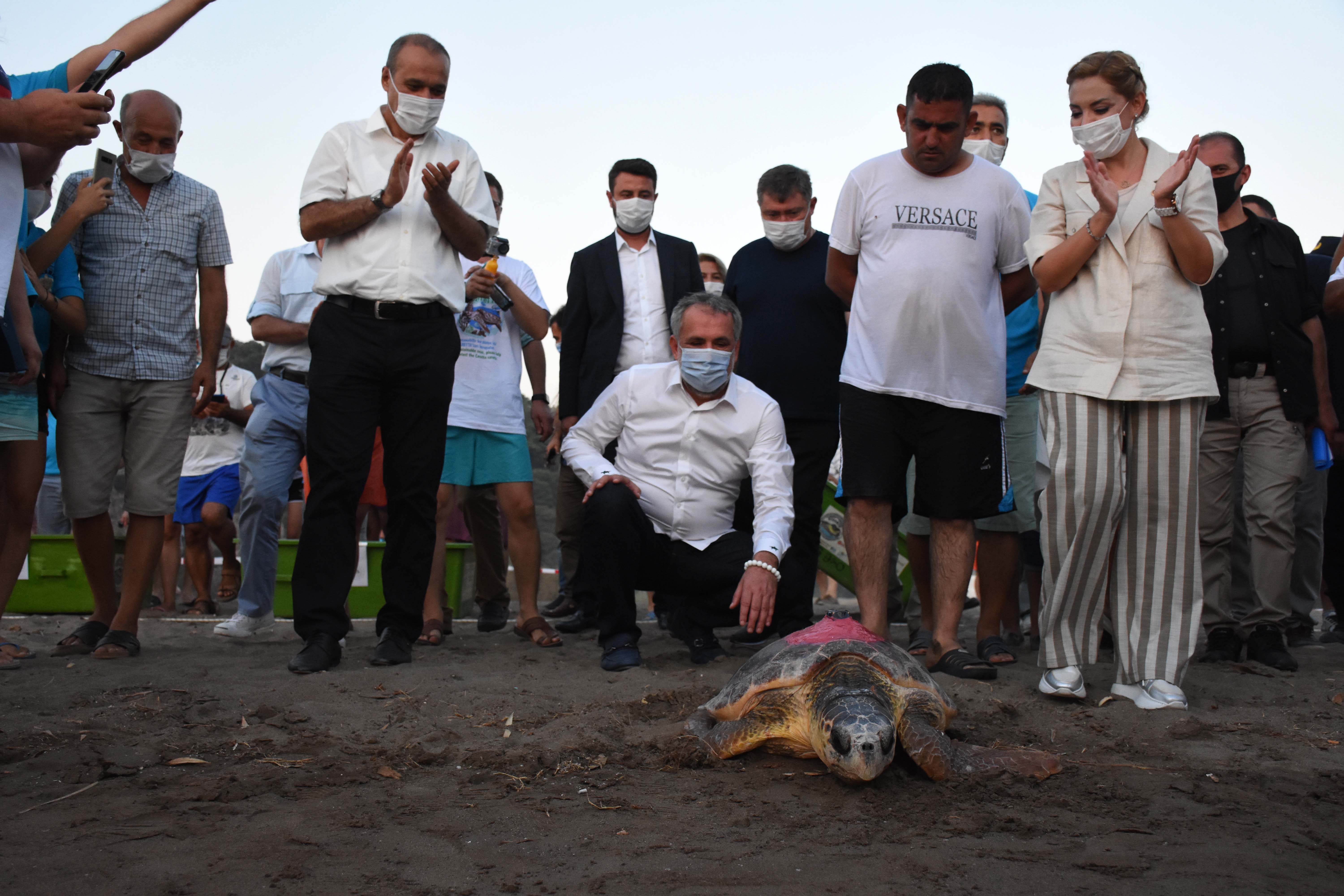 TEDAVİ EDİLEN 4 CARETTA CARETTA İLE 25 YAVRU DENİZLE BULUŞTU