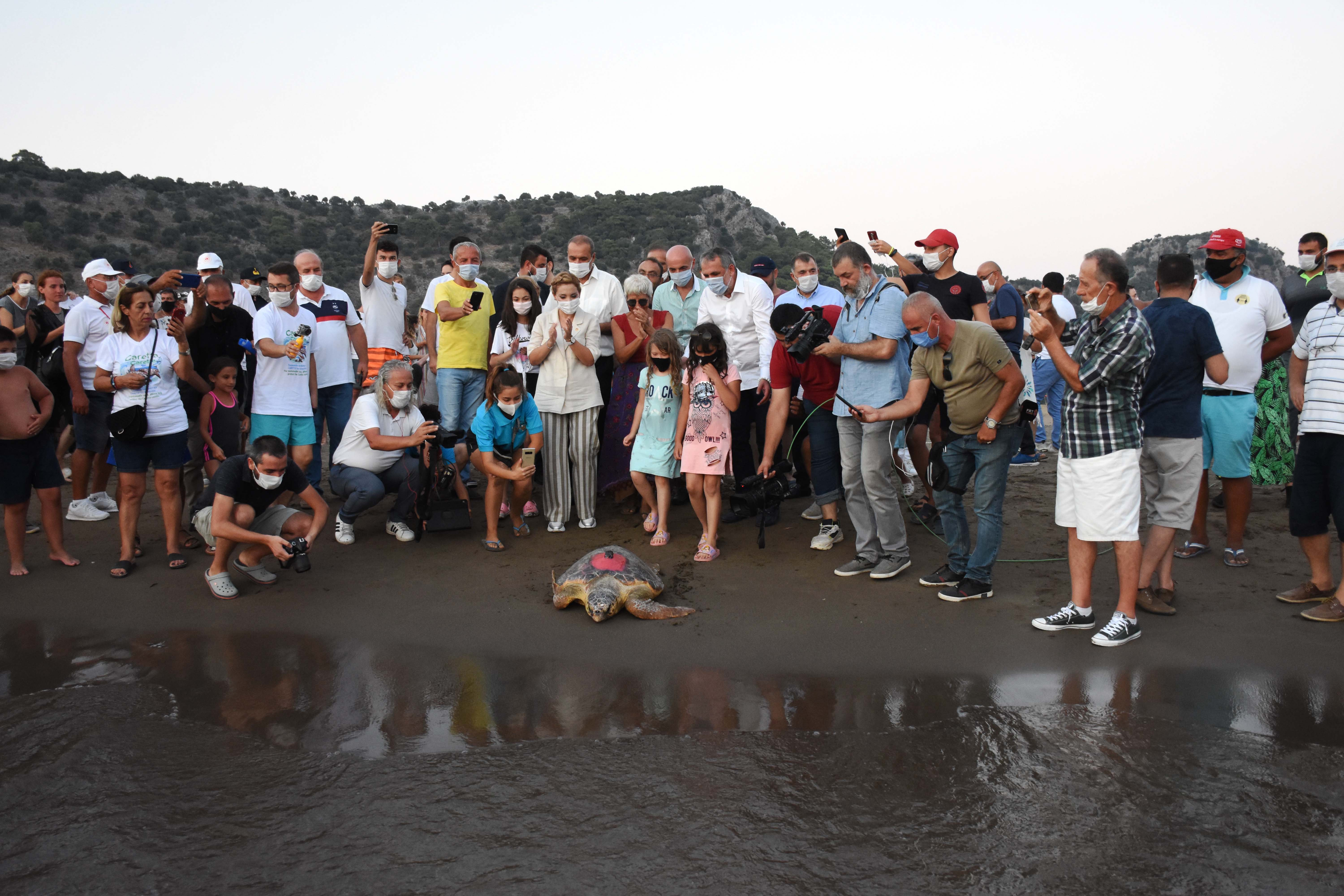 TEDAVİ EDİLEN 4 CARETTA CARETTA İLE 25 YAVRU DENİZLE BULUŞTU