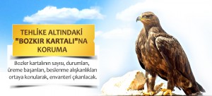 Tehlike Altındaki 