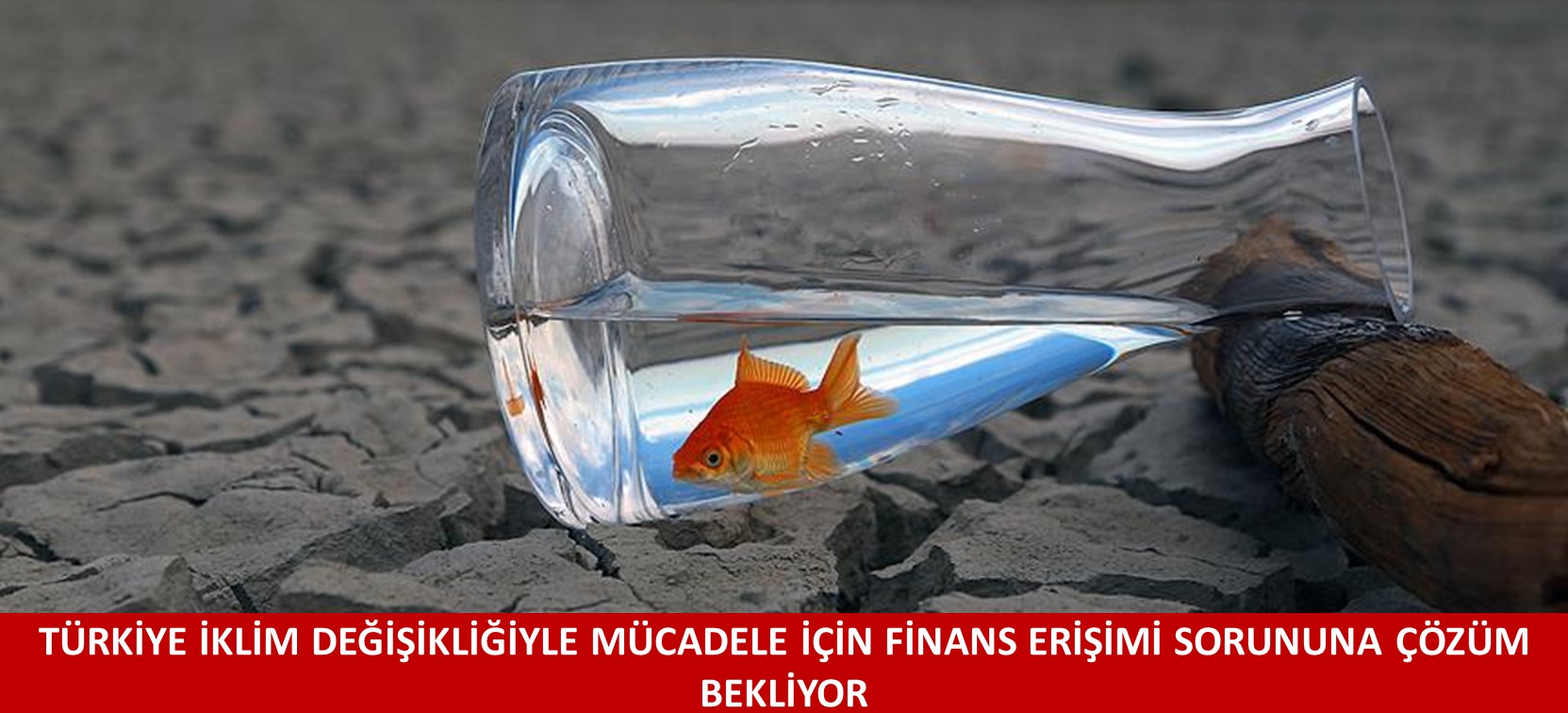 TÜRKİYE İKLİM DEĞİŞİKLİĞİYLE MÜCADELE İÇİN FİNANS ERİŞİMİ SORUNUNA ÇÖZÜM BEKLİYOR