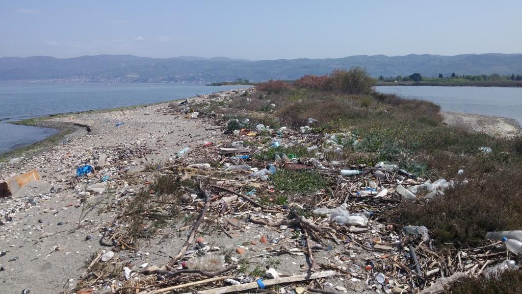 5 Haziran Dünya Çevre Günü Etkinlikleri Başlıyor