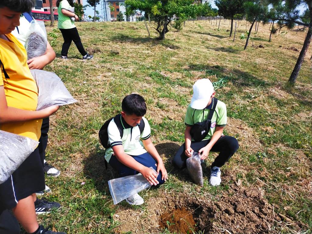 5 Haziran Türkiye Çevre Haftası Münasebetiyle Kompost Tesisi Ziyareti ve Fidan Dikimi