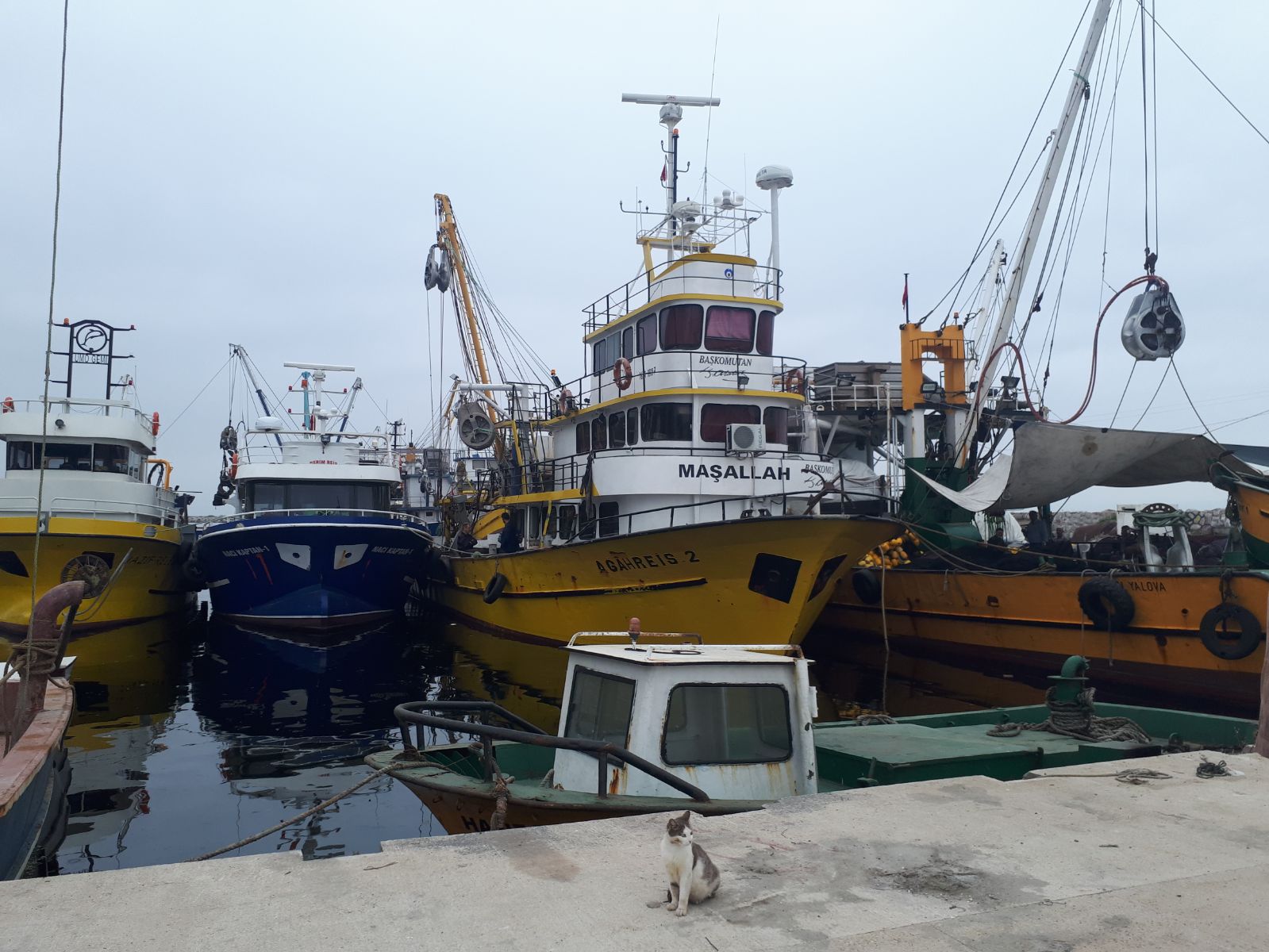 Balıkçı Barınakları İncelendi