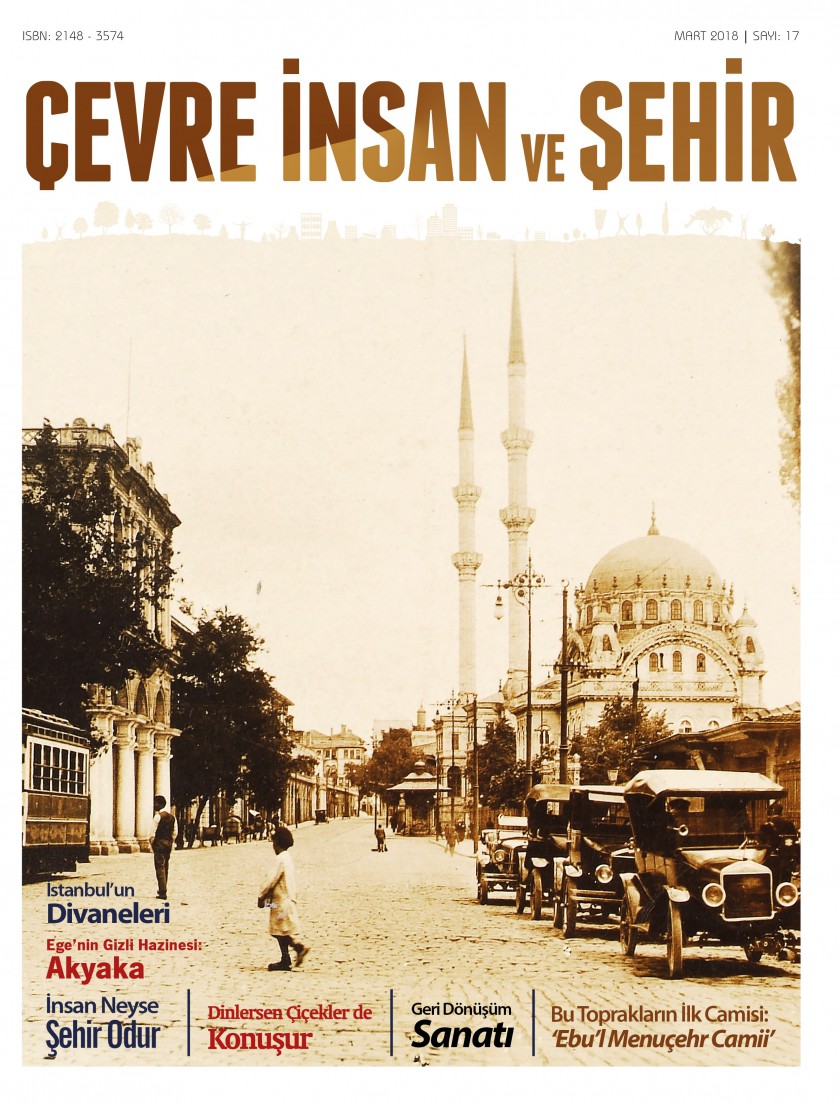 Çevre, İnsan ve Şehir Dergisi 17.Sayısı Yayımlandı