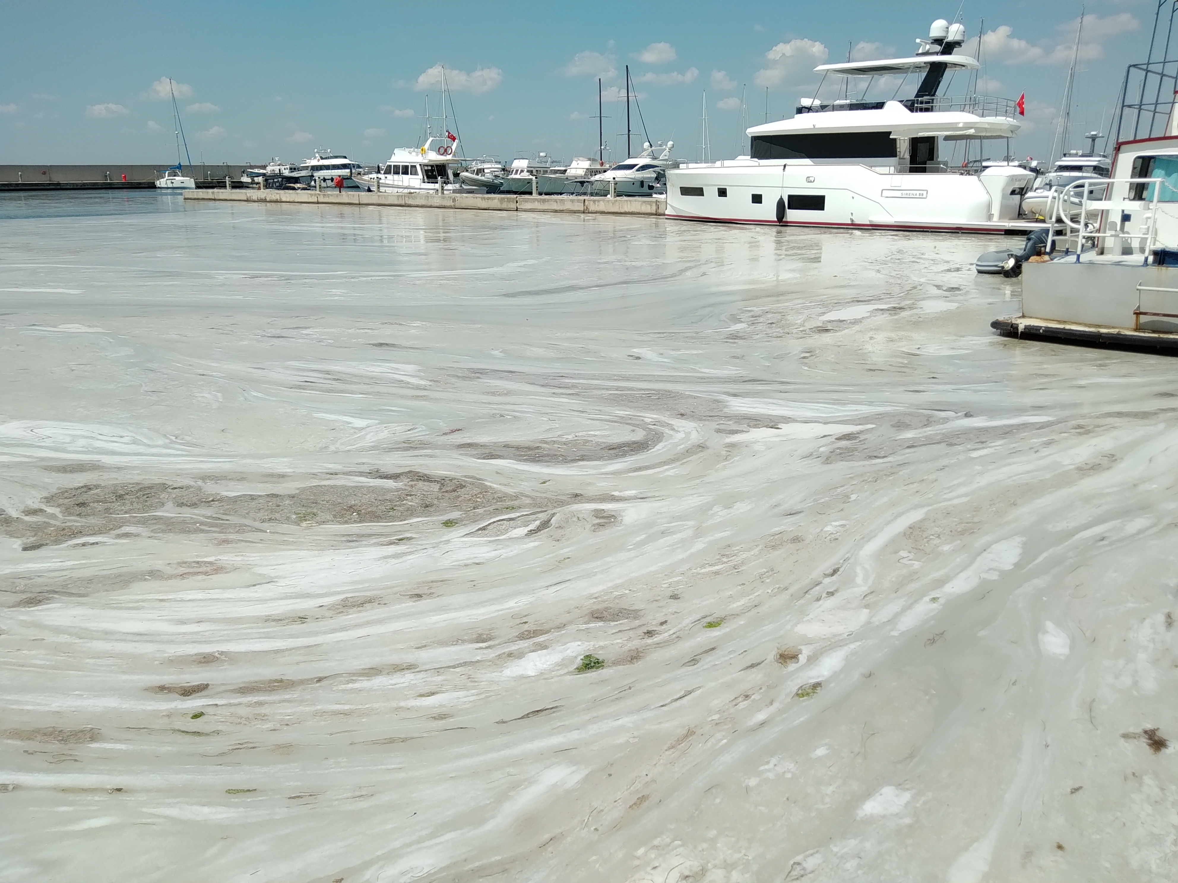 Marmara Denizi Eylem Planı Koordinasyon Merkezi Toplantısı