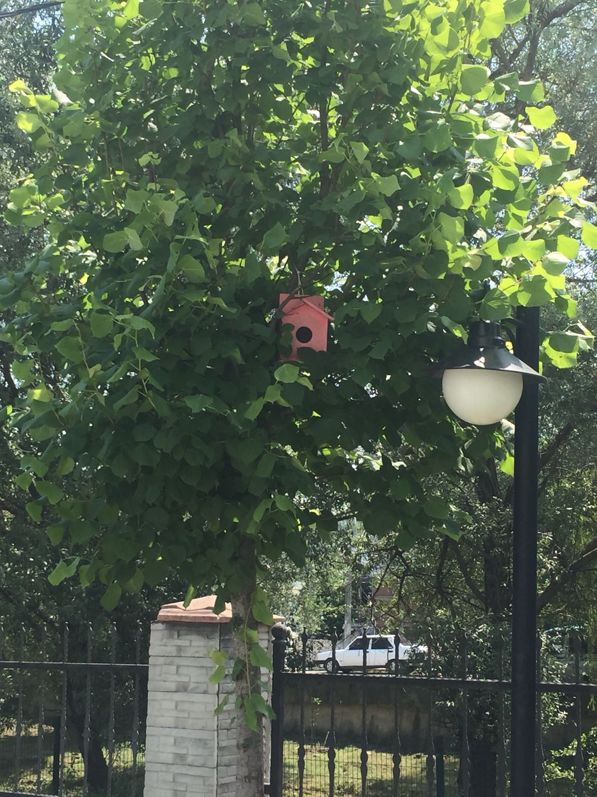 Müdürlüğümüz Bahçesine Kuş Evleri Yapıldı