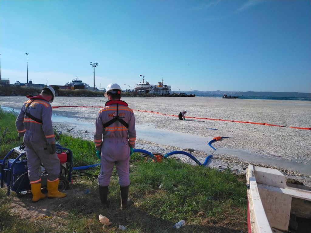 Müsilaj Temizliği Ve Çevre Denetim Faaliyetleri