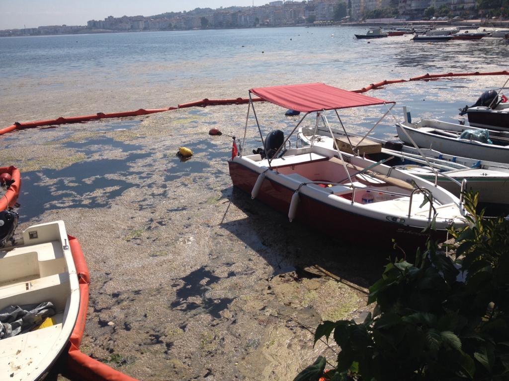 Müsilajla Mücadele kapsamında Üniversiteler ile Toplantı Yapıldı